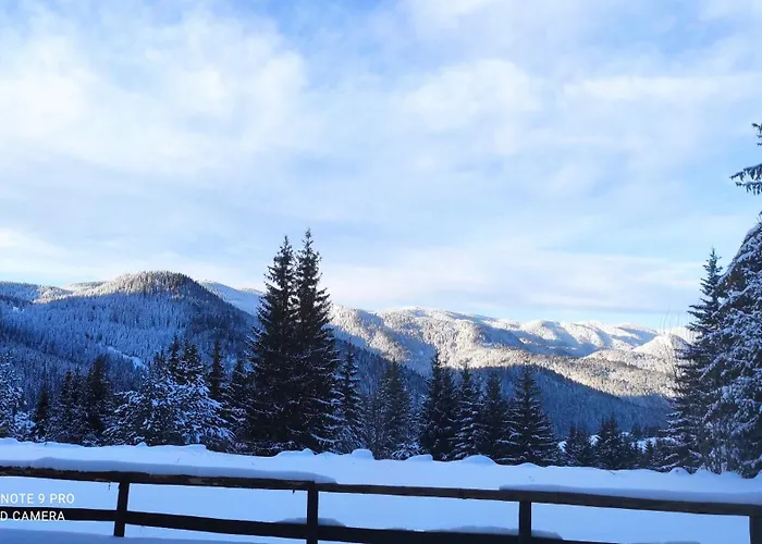 Panorama Orpheus * Stoykite